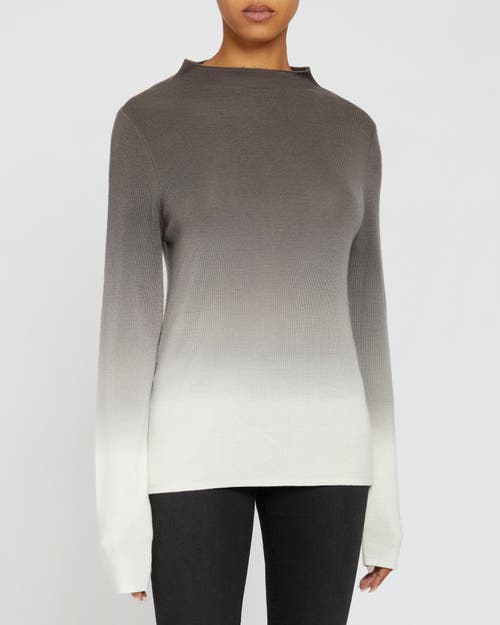 Santorelli Coletta Funnel-neck Ombre Merino Wool Sweater In Earth
