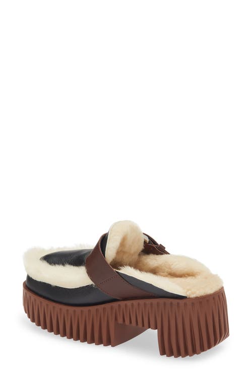 4ccccees Plia Amber Genuine Shearling Platform Clog In Black