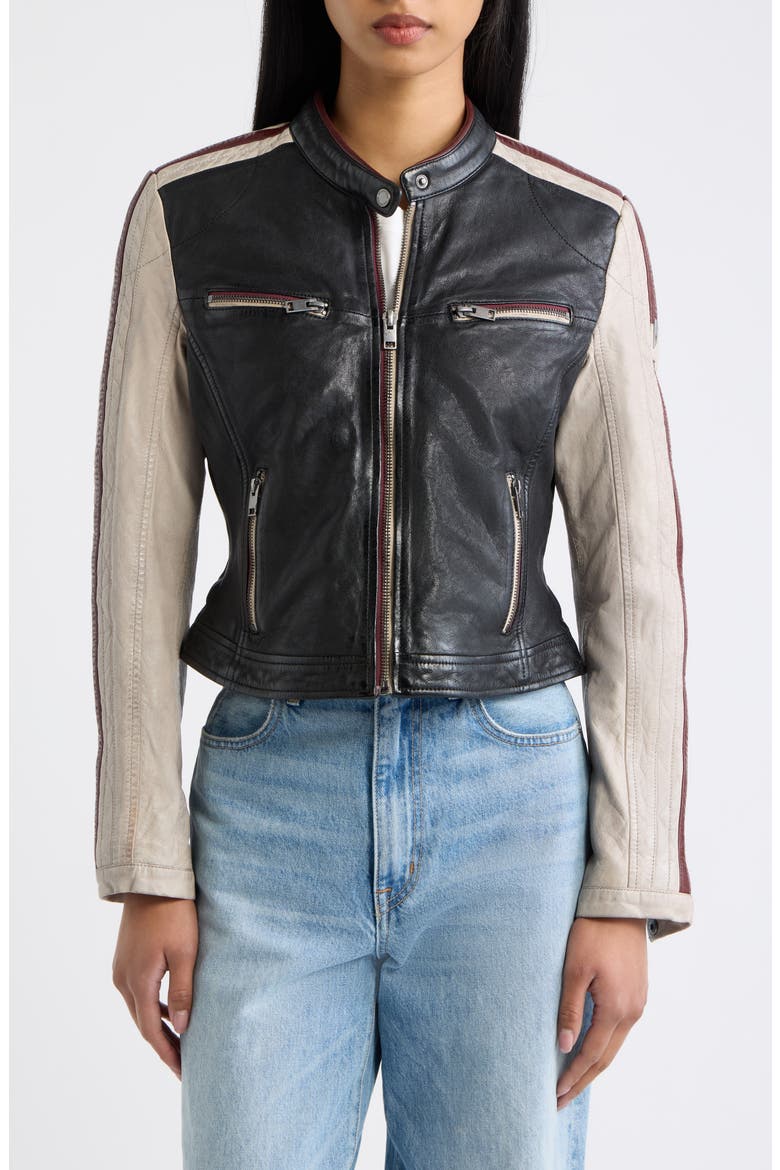 Isadora Leather Jacket, Alternate, color, BLACK