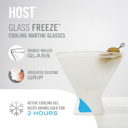 Host Glass Freeze Martini Cooling Cup Set Of 2 In Gray