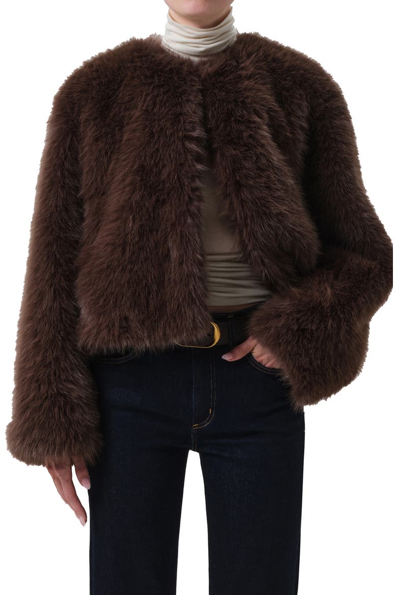 Esme Faux Fur Jacket, Main, color, HONEY LT BROWN