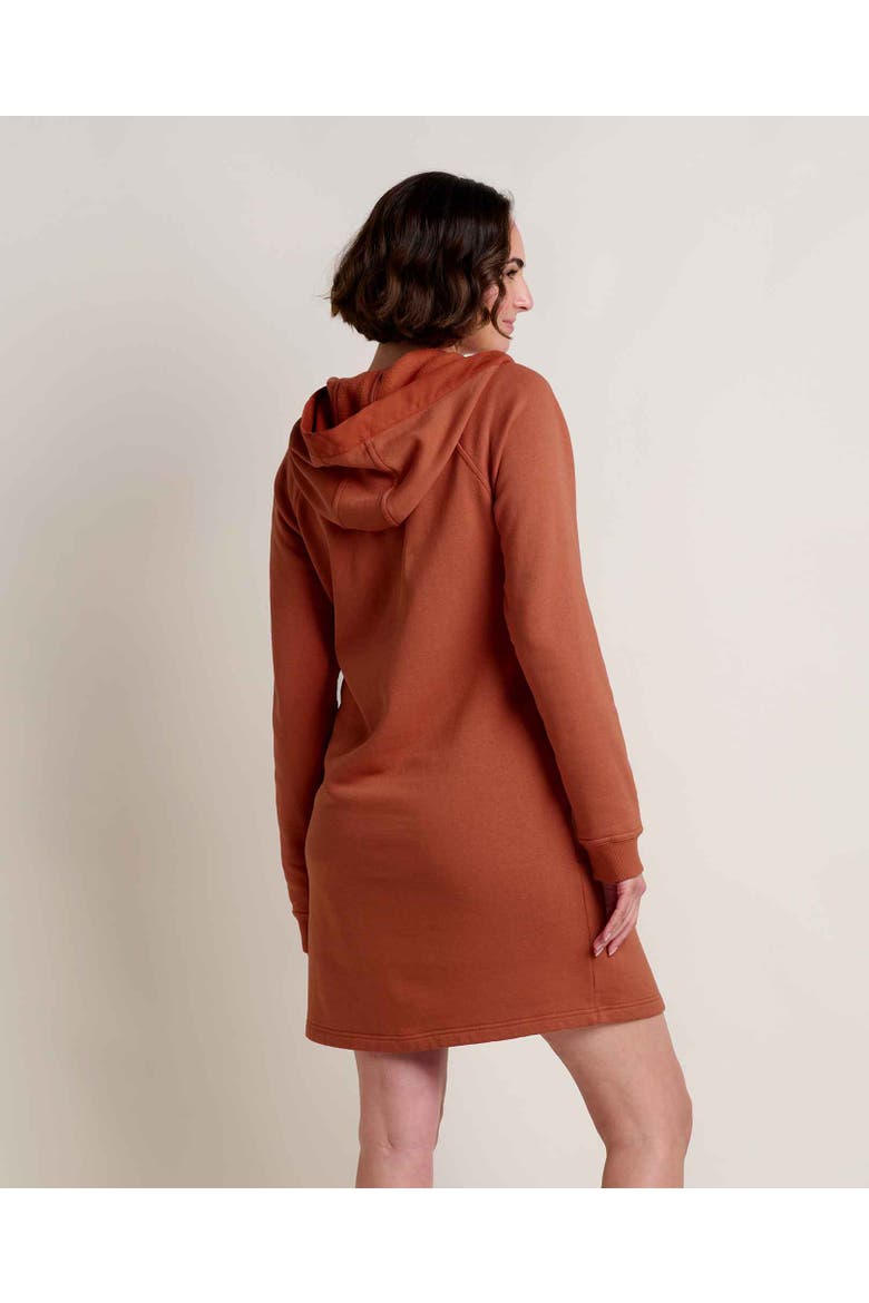 Fernscape Long Sleeve Hooded Dress, Alternate, color, Dark Roast