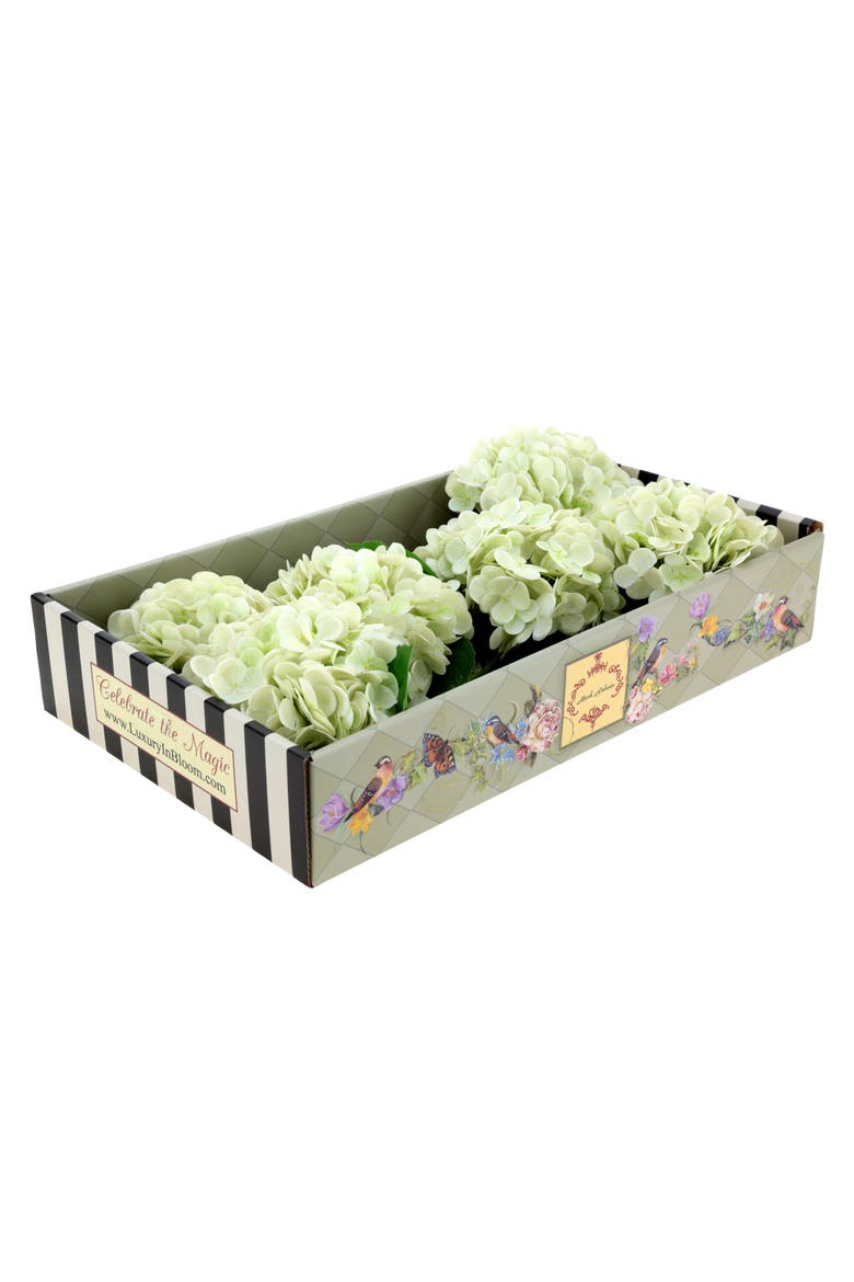 Vibrant Hydrangea Natural Touch, Box of 6, Main, color, Tea Green