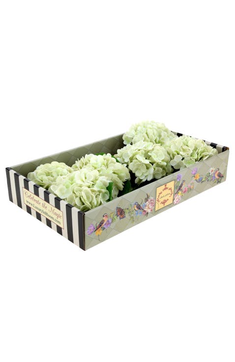 Vibrant Hydrangea Natural Touch, Box of 6