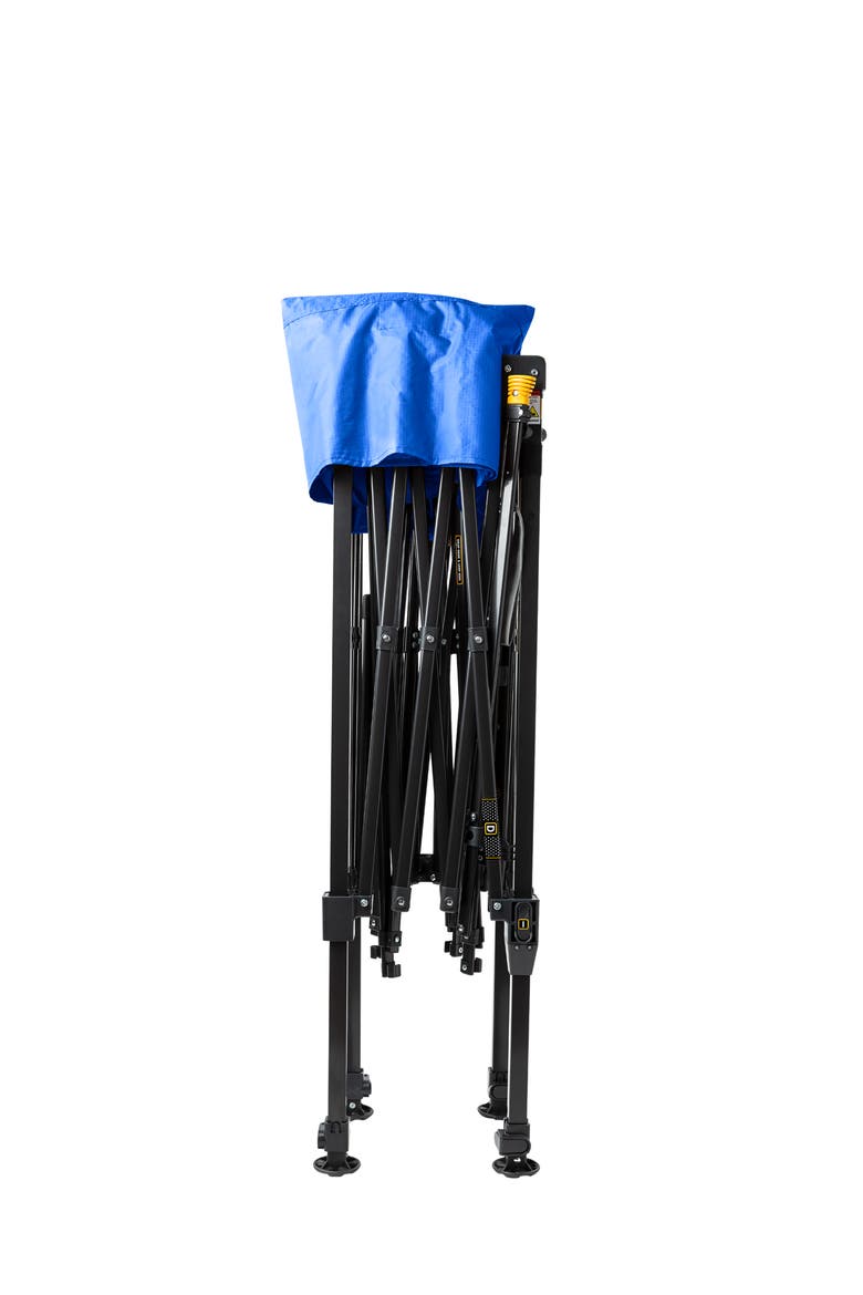 LevrUp Canopy 8x8, Alternate, color, Royal Blue