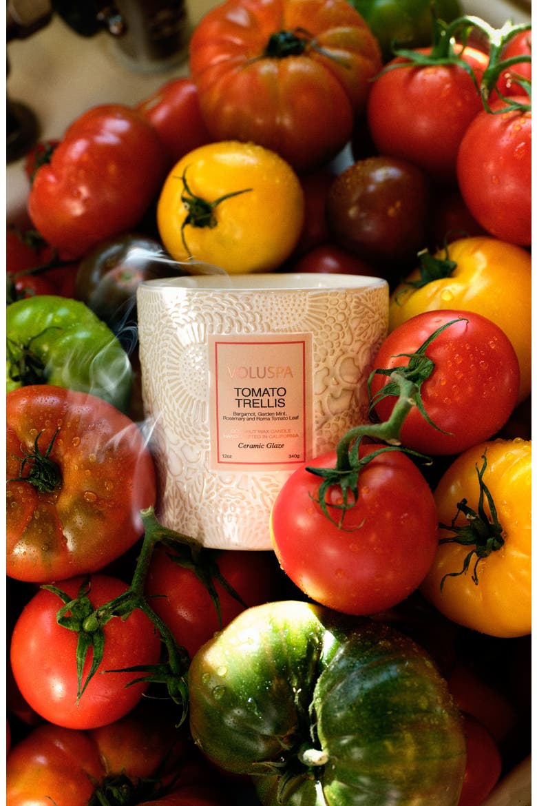 Tomato Trellis Luxe Classic Candle, Alternate, color, TOMATO TRELLIS