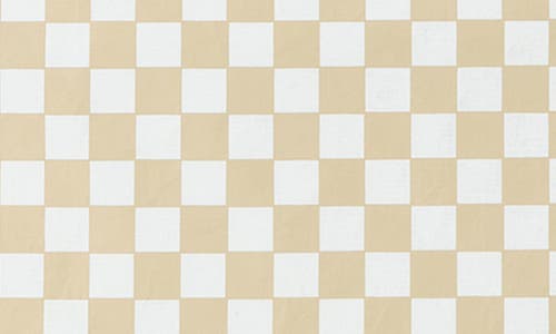 Aloha Collection Day Tripper Petite Check Water Resistant Tyvek® Tote In Neutral