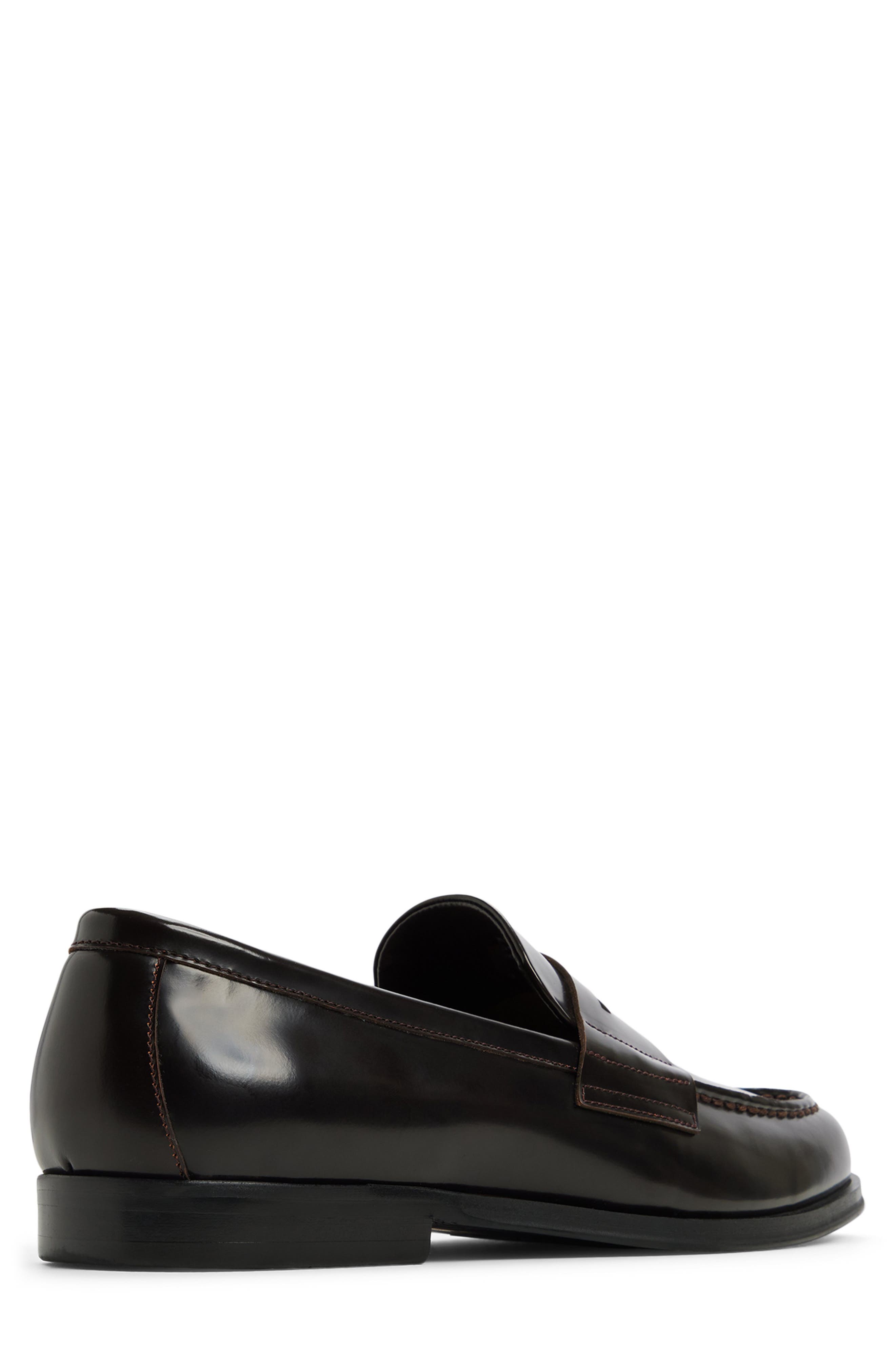 ALDO Keifer Penny Loafer, Alternate, color, Dark Brown