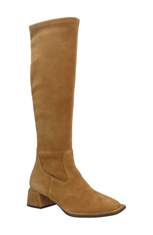 L'amour Des Pieds Nolita Stretch Leather Boot In Coffee