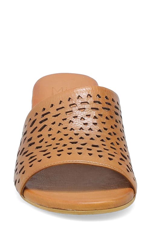 Miz Mooz Rylan Slide Sandal In Brandy