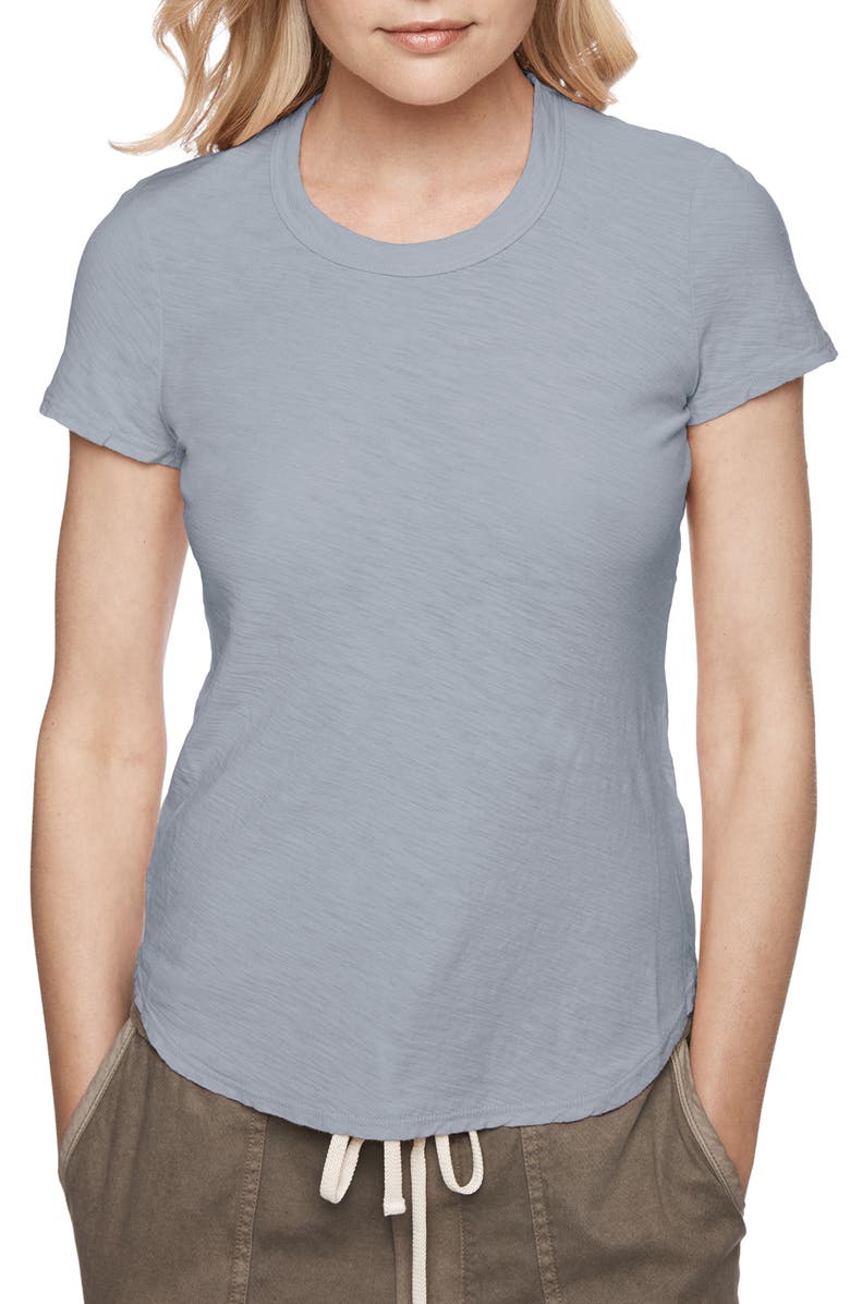 James Perse Sheer Slub Crewneck Tee, Alternate, color, 