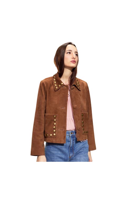 Cynthia Rowley Studded Suede Cropped Jacket In Brown