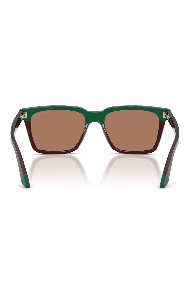 55mm Square Sunglasses, Alternate, color, OPAL BROWN/ GREEN / BROWN