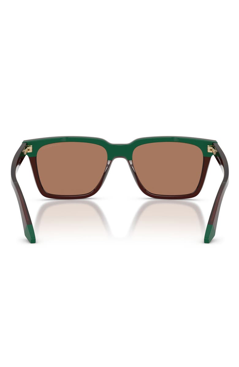Emporio Armani 55mm Square Sunglasses, Alternate, color, Opal Brown/ Green / Brown