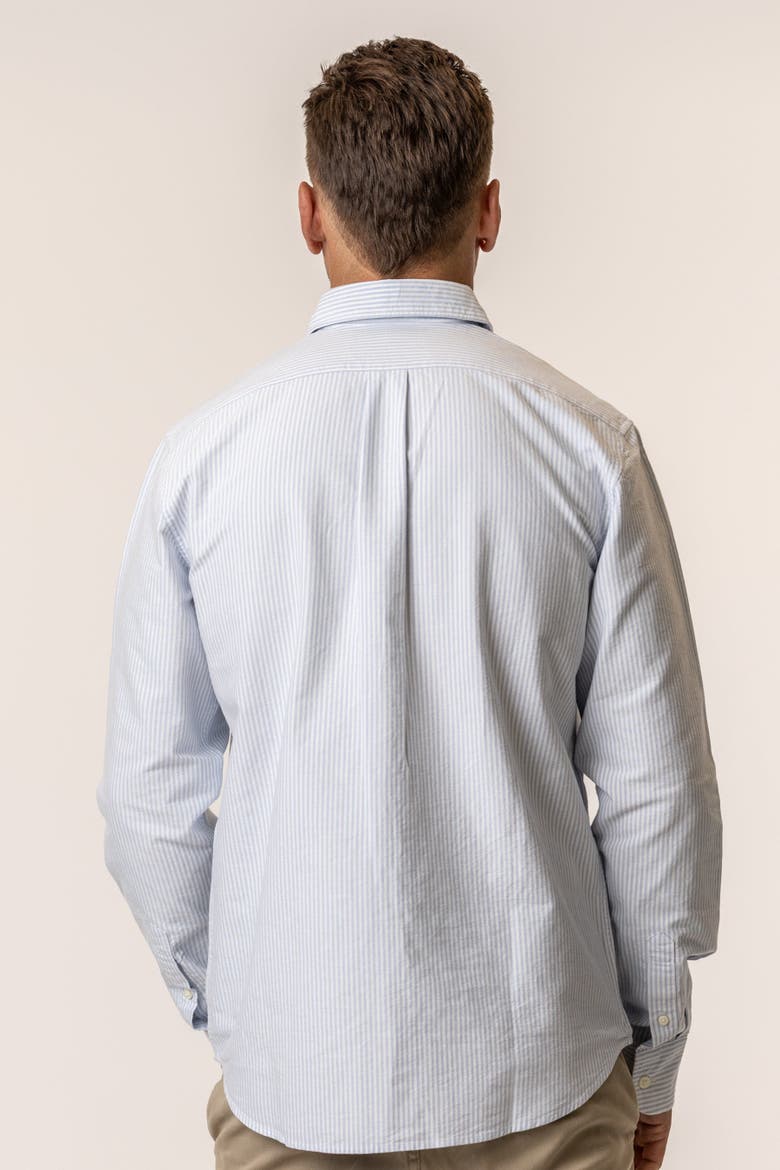 Organic Cotton Oxford Shirt, Alternate, color, Stripe Blue White