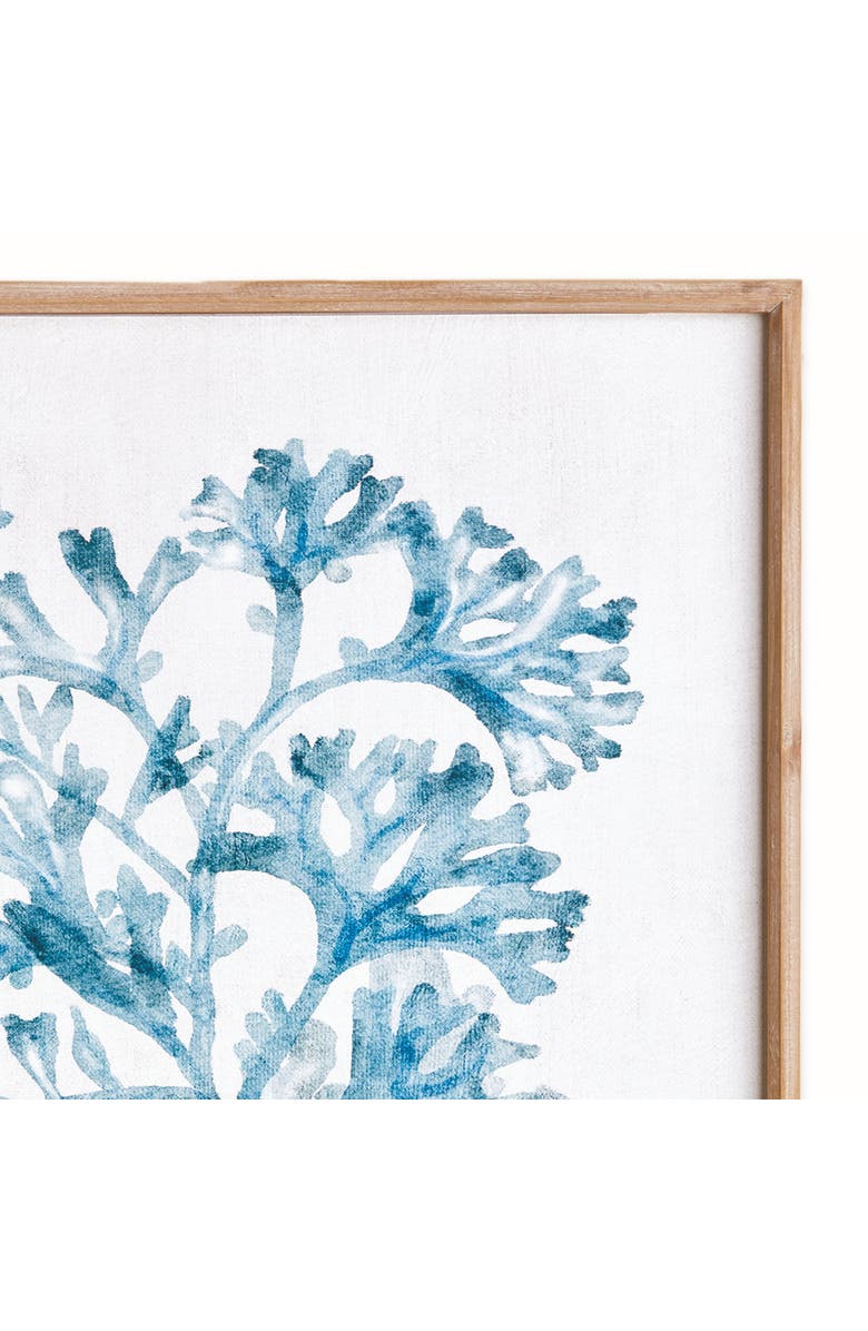 Napa Home & Garden Translucent Coral Print - Blue Framed Art - Coastal Decor, Alternate, color, 