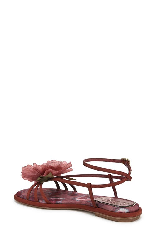 Circus Ny By Sam Edelman Olana Flower Strappy Flat Sandals In Spiced Merlot Multi