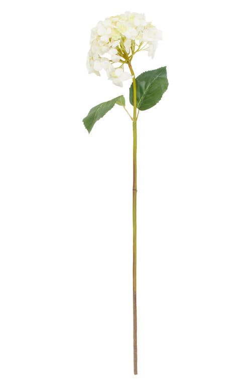 Sonoma Sage Home Set Of Eight White Hydrangea Artificial Flowers In White