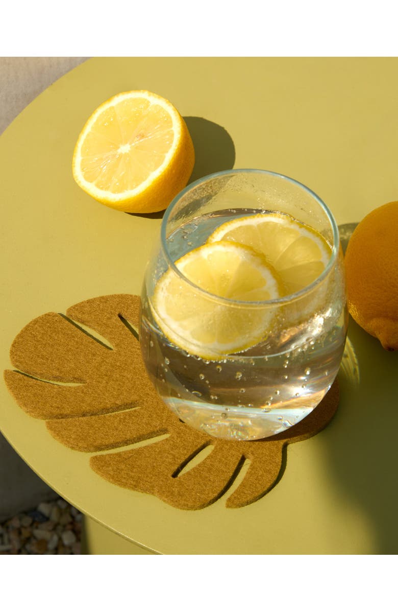 Graf Lantz Merino Wool Monstera Coaster Multi 4 Pack, Alternate, color, Tropics