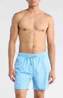 Vintage Summer 4-Way Stretch Volley Swim Trunks