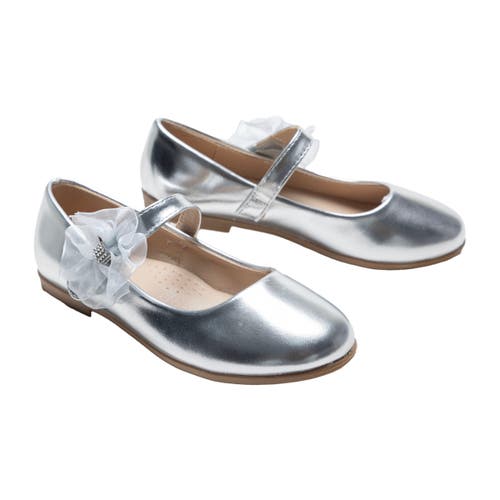 Tulleen Haile Ballerina Shoes In Silver