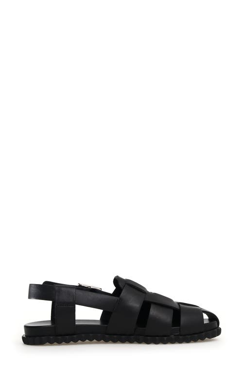 Shop Voile Blanche Alice Fisherman Sandal In Black