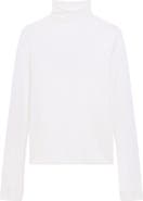 Theory Split Sleeve Roll Neck Wool Blend Sweater