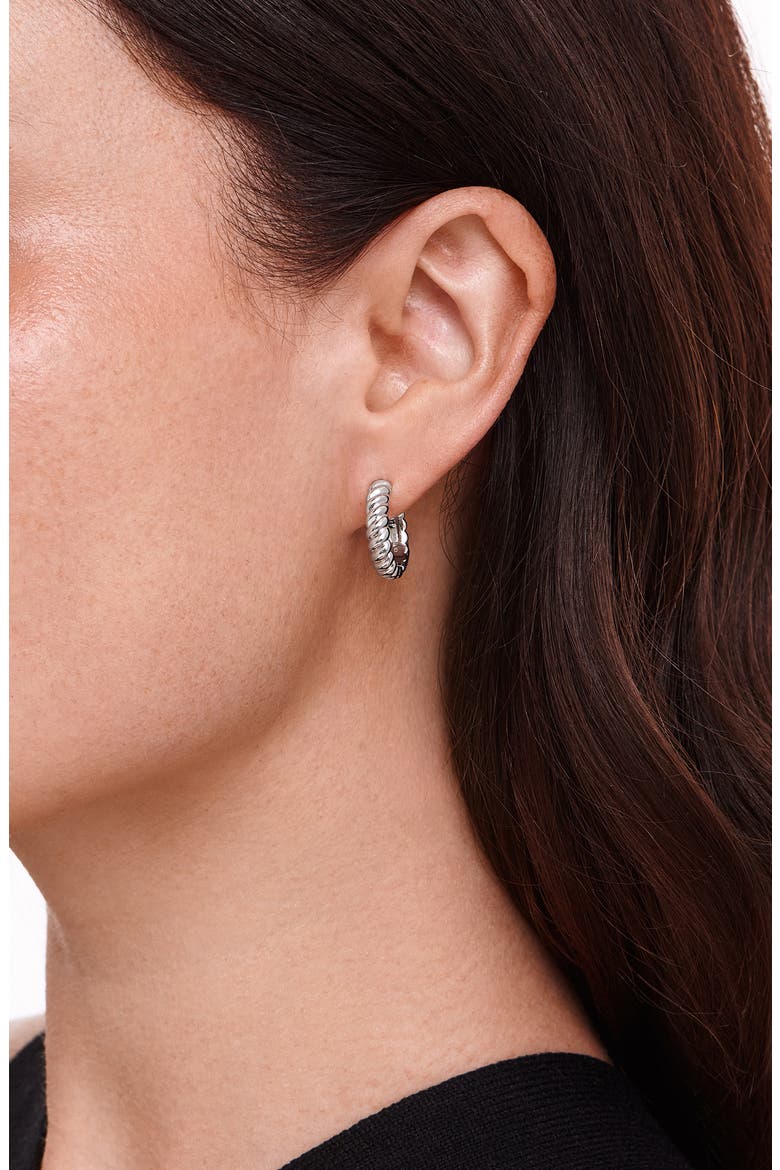Rope Hoop Earrings, Alternate, color, SILVER
