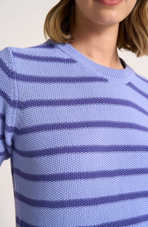 Matty M Mara Short Sleeve Sweater In Purple