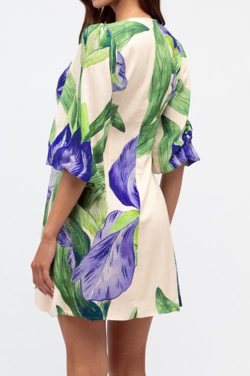 White Closet V-neck Mini Dress Sweet Iris In White