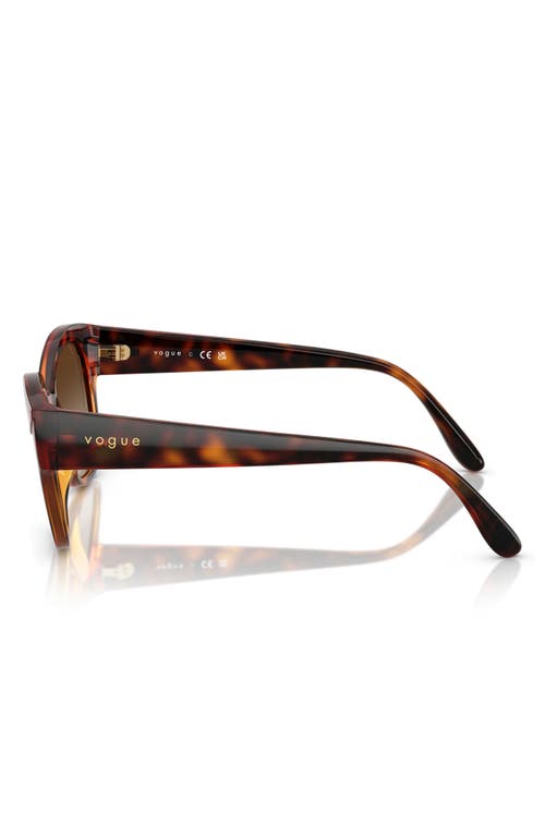 Vogue 55mm Polarized Gradient Butterfly Sunglasses In Brown