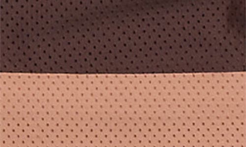 Danskin Assorted 5-pack Breathable Hipster Briefs