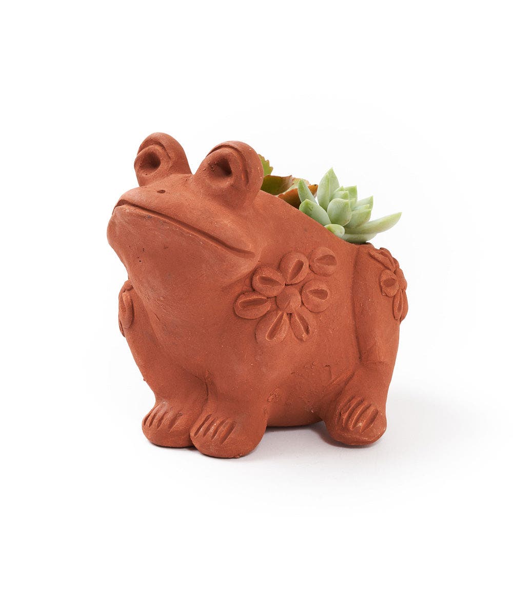 selected Terracotta