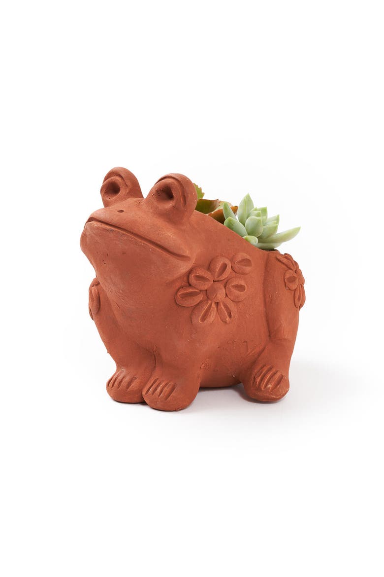 Rakshana Frog Plant Pot - Terracotta, Main, color, Terracotta