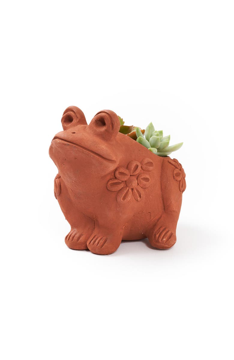 Matr Boomie Rakshana Frog Plant Pot - Terracotta, Main, color, Terracotta
