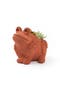 selected Terracotta