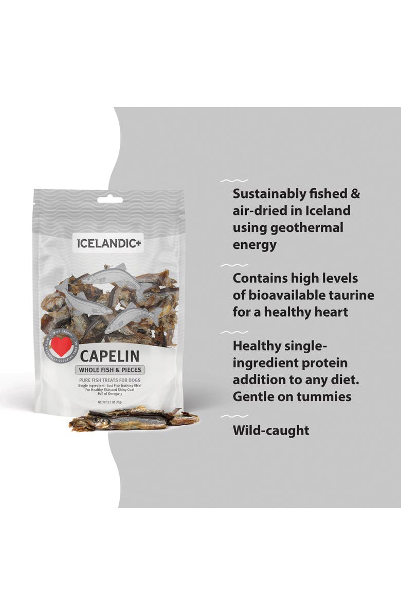 ICELANDIC+ Capelin Whole Fish & Pieces Dog Treat 2.5oz Bag, Alternate, color, Multicolored