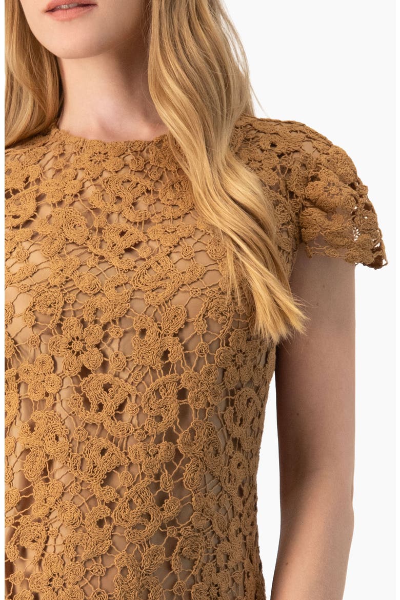 Guipure Lace Cap-Sleeve Shift Dress, Alternate, color, Light Brown