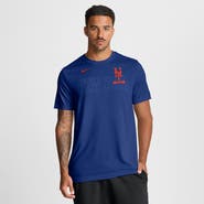Nike Men's Nike Royal New York Mets Knockout Team Legend Dri-FIT T-Shirt