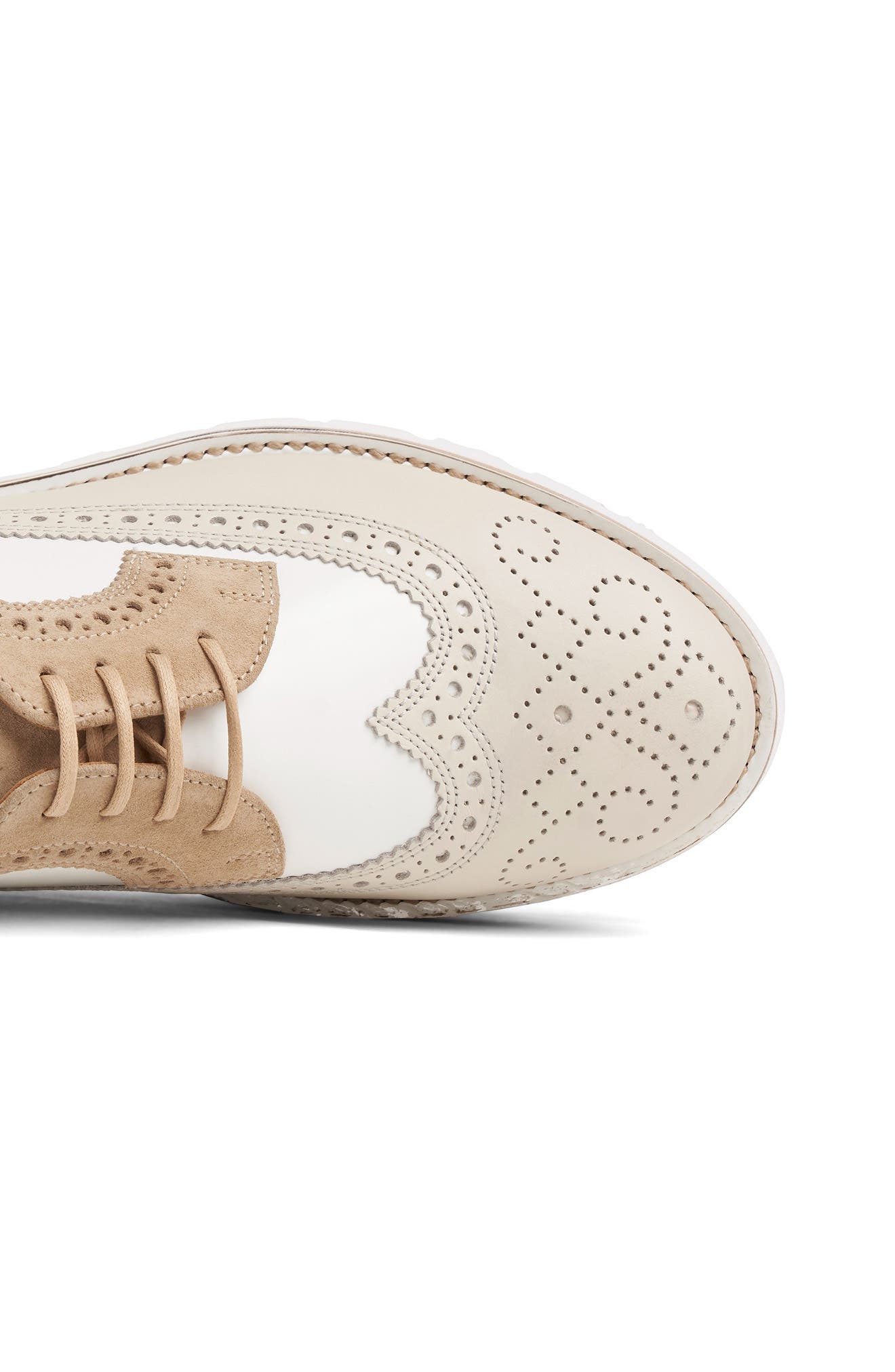 The Office of Angela Scott Miss Lucy Derby, Alternate, color, Biscotti