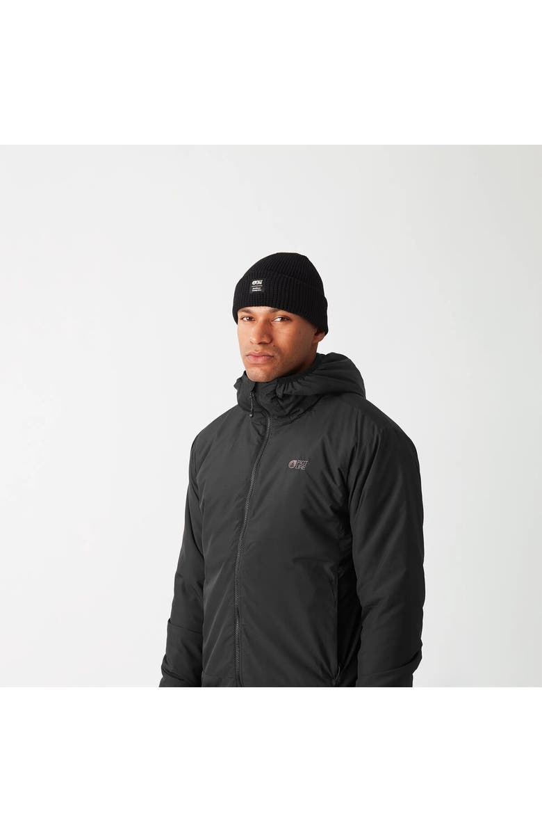 Picture Organic Lanin Hooded Jacket - Men's, Alternate, color, Black