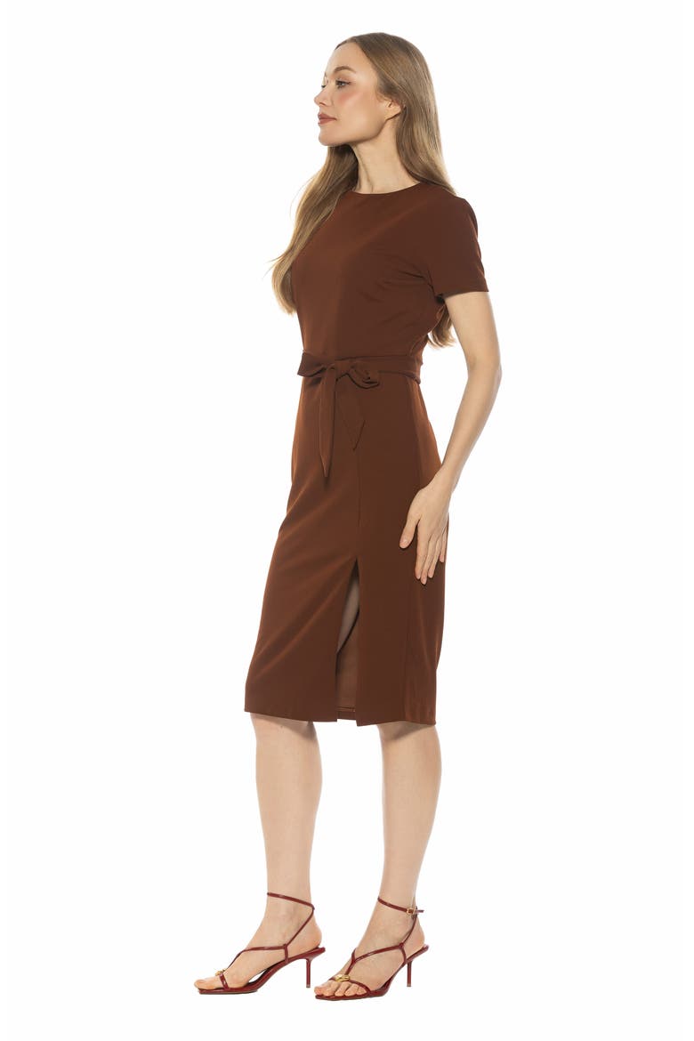 Zyra Short Sleeve Tie Waist Sheath Dress, Alternate, color, BROWN