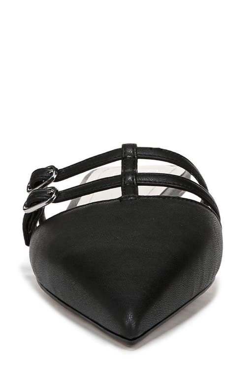 Franco Sarto Pia Pointed Toe Mule In Black