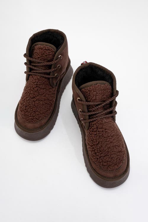 Prologue Shoes Tyson Lace Up Boot In Brown