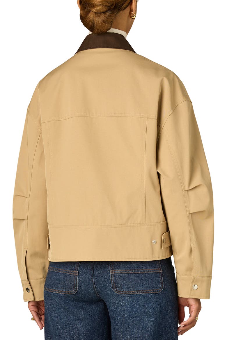 Contrast Collar Peplum Jacket, Alternate, color, STRW STRAW