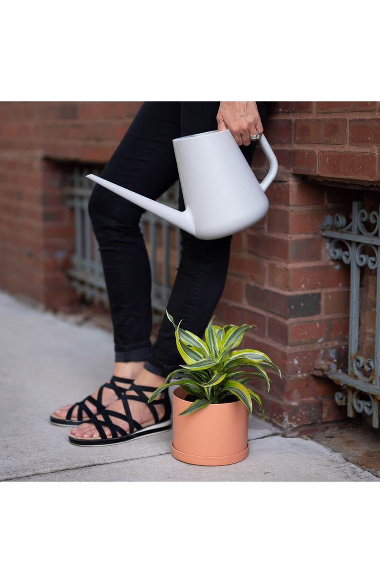 Bloem Translucent Watering Can 1 Gallon, Fern Grey, Alternate, color, Gray