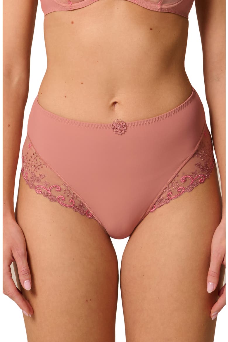Delice Retro Briefs, Main, color, SMOKEY PINK