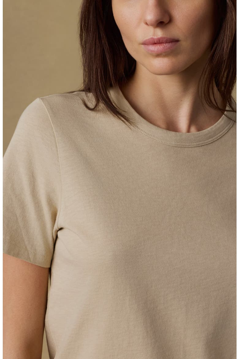 Sunwashed Essential Cotton T-Shirt, Alternate, color, WHITE PEPPER