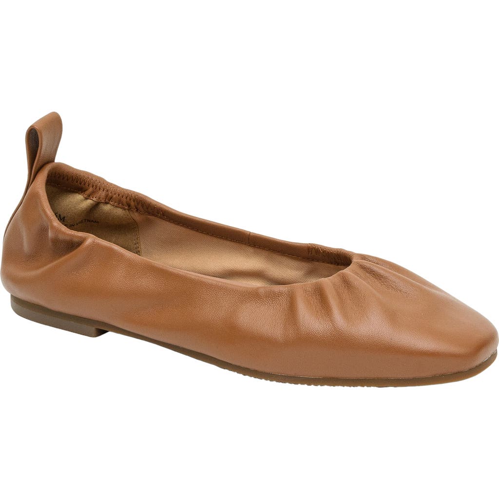 Linea Paolo Newry Ballet Flat In Brown