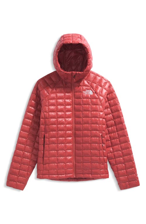 The North Face Thermoball Quilted Hooded Jacket In Red